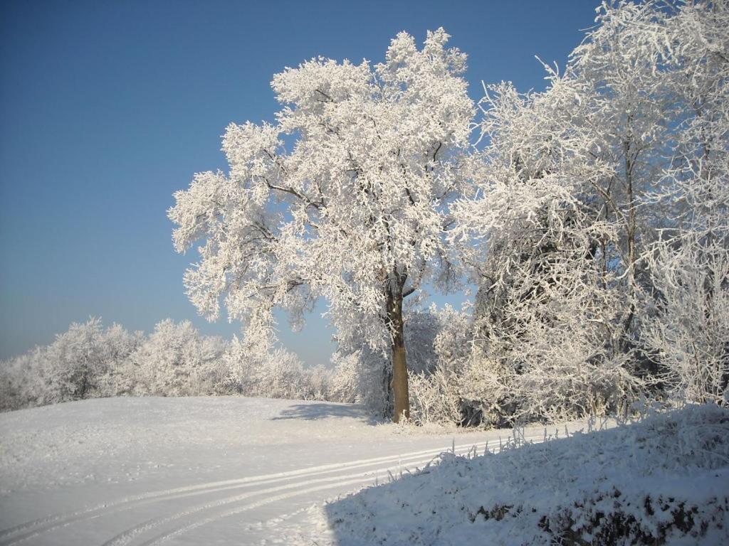 Albergotto Natalina Grazzano Badoglio Kamer foto